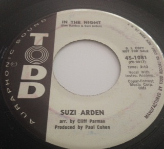 ladda ner album Suzi Arden - In The Night