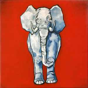Elephant Singles Box Set - The White Stripes