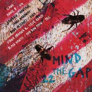 Mind The Gap Volume 22 - Various