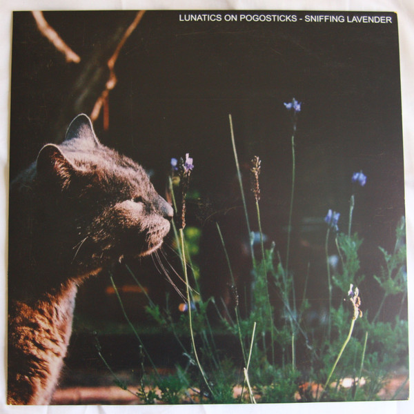 descargar álbum Lunatics On Pogosticks - Sniffing Lavender