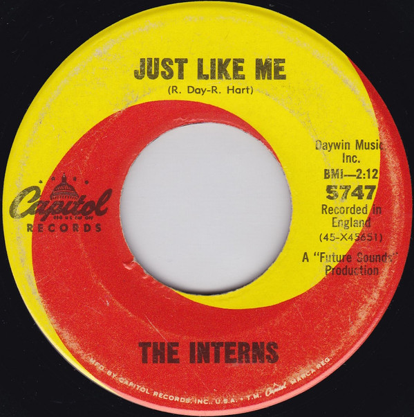 télécharger l'album The Interns - Is It Really What You Want Just Like Me