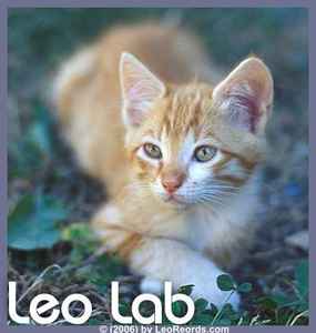 Leo Lab on Discogs