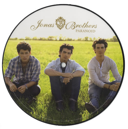 Jonas Brothers Paranoid 7インチ レコード ピクチャー盤-