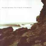 Cover of Surfing On Sine Waves, 2001, CD