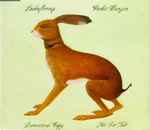 Vashti Bunyan – Lookaftering (2005, CD) - Discogs