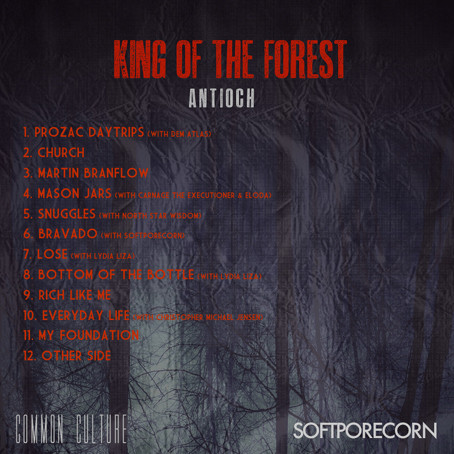 descargar álbum Antioch - King Of The Forest