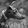 Whippets - Whippets