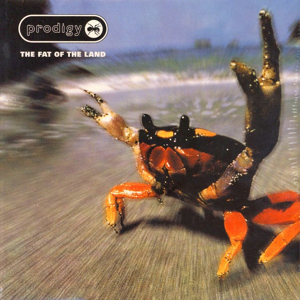 Prodigy – The Fat Of The Land (Vinyl) - Discogs