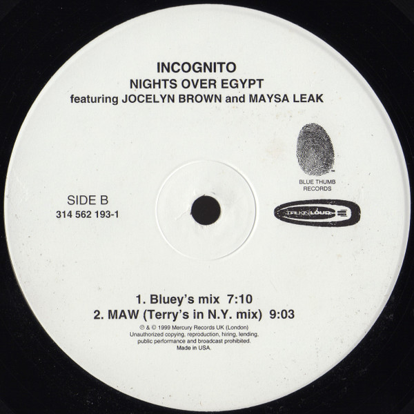 ladda ner album Incognito featuring Jocelyn Brown and Maysa Leak - Nights Over Egypt