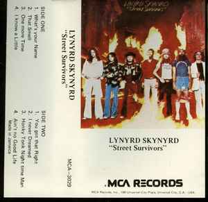 Lynyrd Skynyrd – Street Survivors (Flame Cover, Cassette) - Discogs