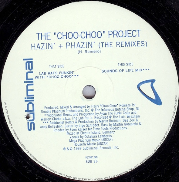 Album herunterladen The Choo Choo Project - Hazin Phazin The Remixes