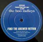 Cover of Find The Answer Within, 1995-04-00, Vinyl