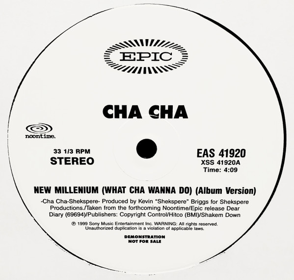 Cha Cha New Millenium What Cha Wanna Do 1999 Vinyl Discogs