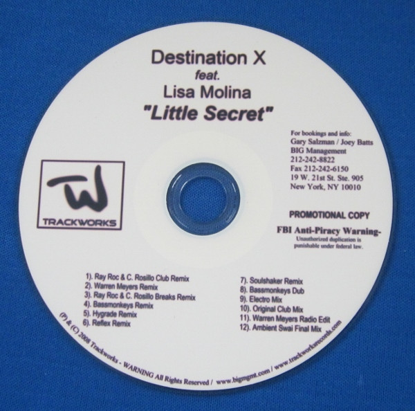 Album herunterladen Destination X Feat Lisa Molina - Little Secret