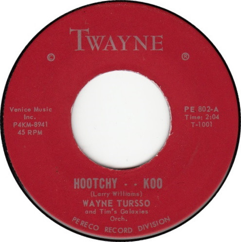 baixar álbum Wayne Tursso And Tims Galaxies Orch - Hoochy Koo Playing For Keeps