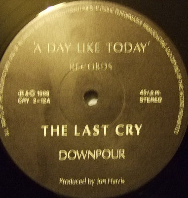 baixar álbum The Last Cry - Downpour