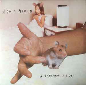 Sonic Youth – A Thousand Leaves (Vinyl) - Discogs