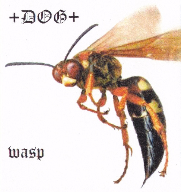 baixar álbum +DOG+ - Wasp