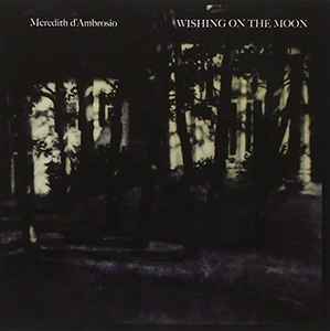 Meredith D'Ambrosio - Wishing On The Moon album cover