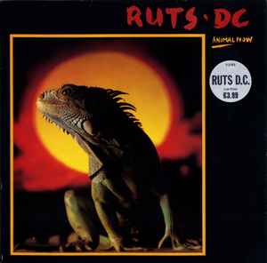 Ruts DC - Animal Now album cover