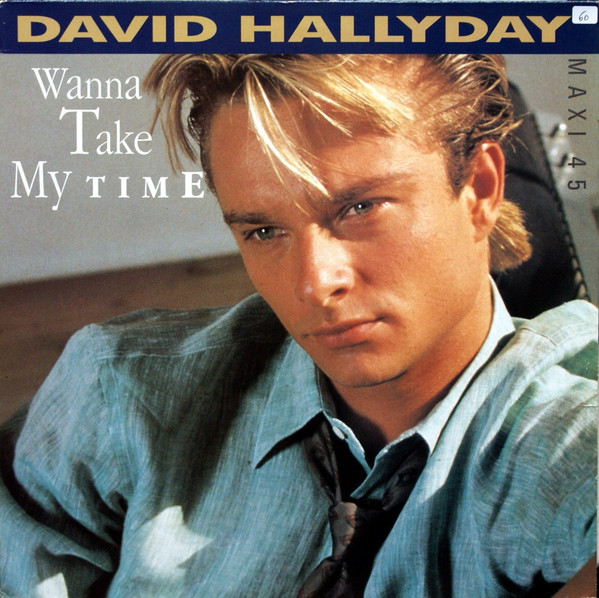 DAVID HALLYDAY - WANNA TAKE MY TIME - MAXI - RARE CD !!!!!!