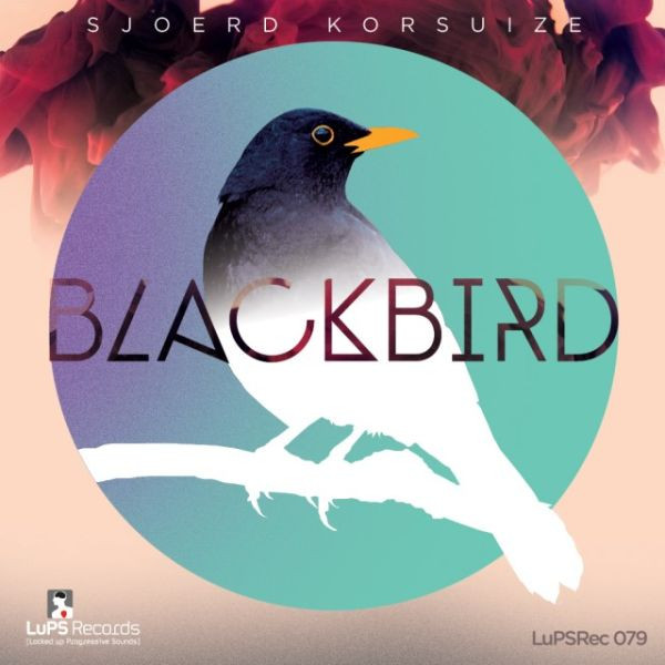 baixar álbum Sjoerd Korsuize - Blackbird