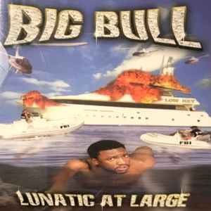 Big Bull – Lunatic At Large (1999, CD) - Discogs