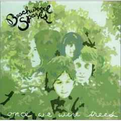 Beachwood Sparks - Once We Were Trees album cover