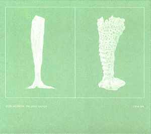 The Glass Sponge - Coelacanth