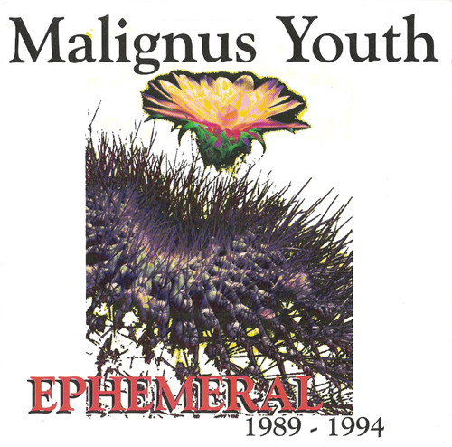 télécharger l'album Malignus Youth - Missa BrevisEphemeral