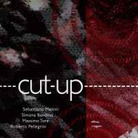 Sebastiano Meloni - Cut -up album cover