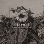 Cover of Eternal, 2017-06-08, CD