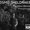 Cosmo Sheldrake - The Moss (Demo)