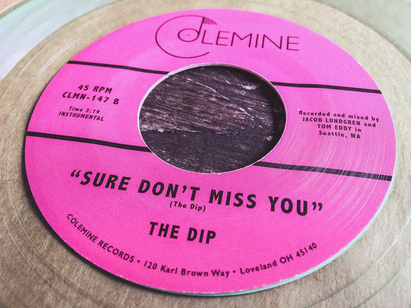 descargar álbum The Dip - Sure Dont Miss You