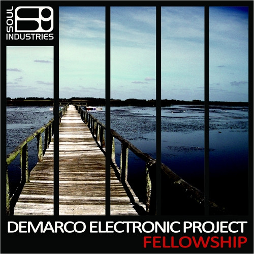 ladda ner album Demarco Electronic Project - Fellowship