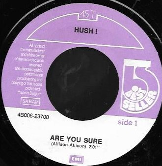 baixar álbum Hush! - Are You Sure