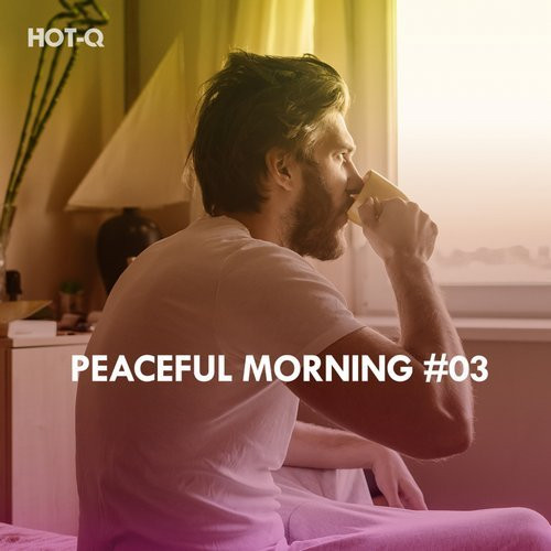last ned album Various - Peaceful Morning 03