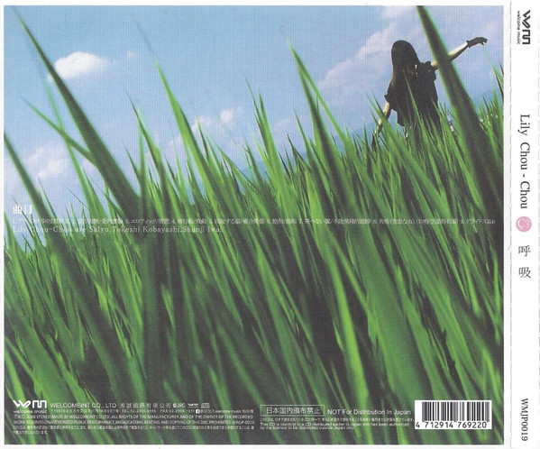 Lily Chou-Chou 呼吸 アナログレコード LP リリイ・シュシュ - 邦楽