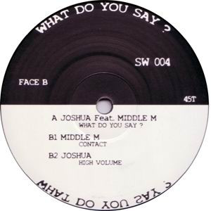 lataa albumi Joshua & Middle M - Striking Wave Vol 4