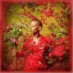 Gail Ann Dorsey - I Used To Be... album cover