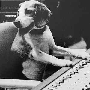 犬先生 ディスコグラフィー Discogs