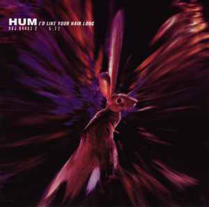 Hum (2) - I'd Like Your Hair Long album cover