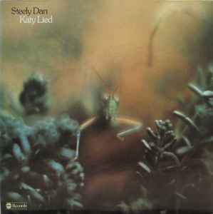Steely Dan – Everything Must Go (2003, Vinyl) - Discogs