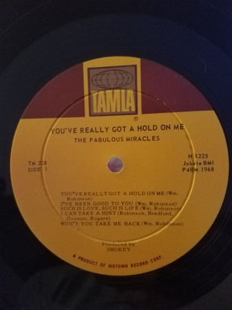 The Fabulous Miracles – You've Really Got A Hold On Me (2019, Vinyl) -  Discogs