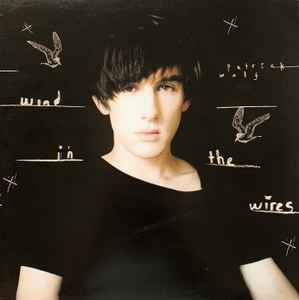 Patrick Wolf - Wind In The Wires