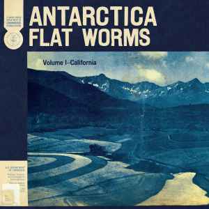 Antarctica - Flat Worms