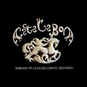 Cate Le Bon - Edrych Yn Llygaid Ceffyl Benthyg album cover