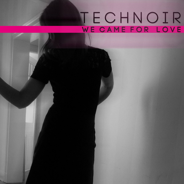 descargar álbum Technoir - We Came For Love