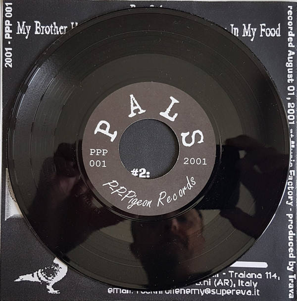 baixar álbum The Pin Pals - Do Not Use This Brain Abnormal