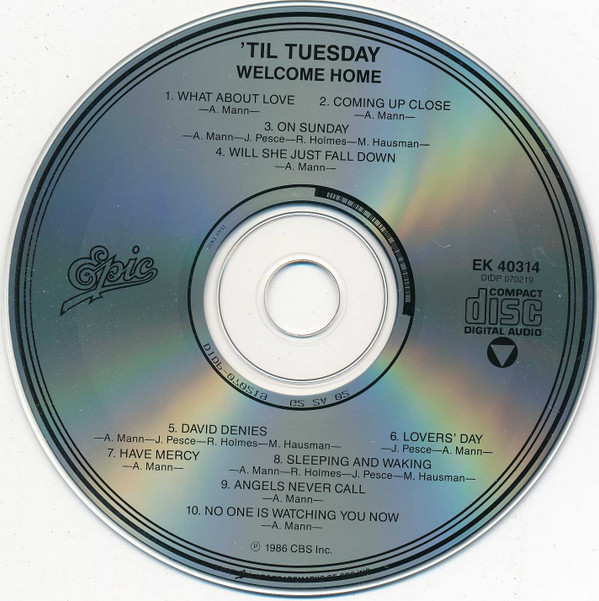 télécharger l'album 'Til Tuesday - Welcome Home